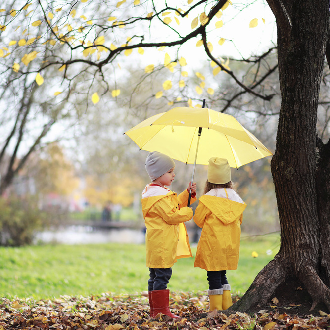 Bild Gefühle Entdecken